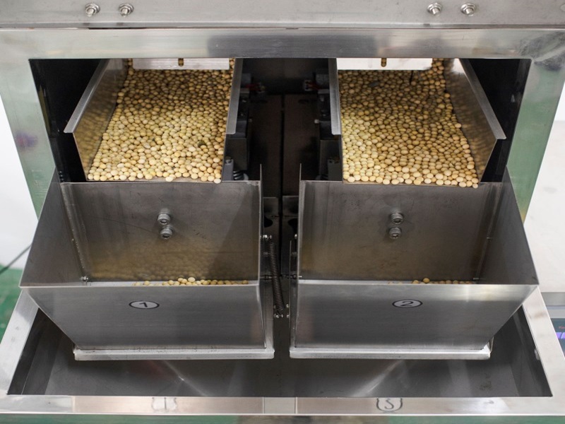 顆粒稱重式香蕉免费在线视频